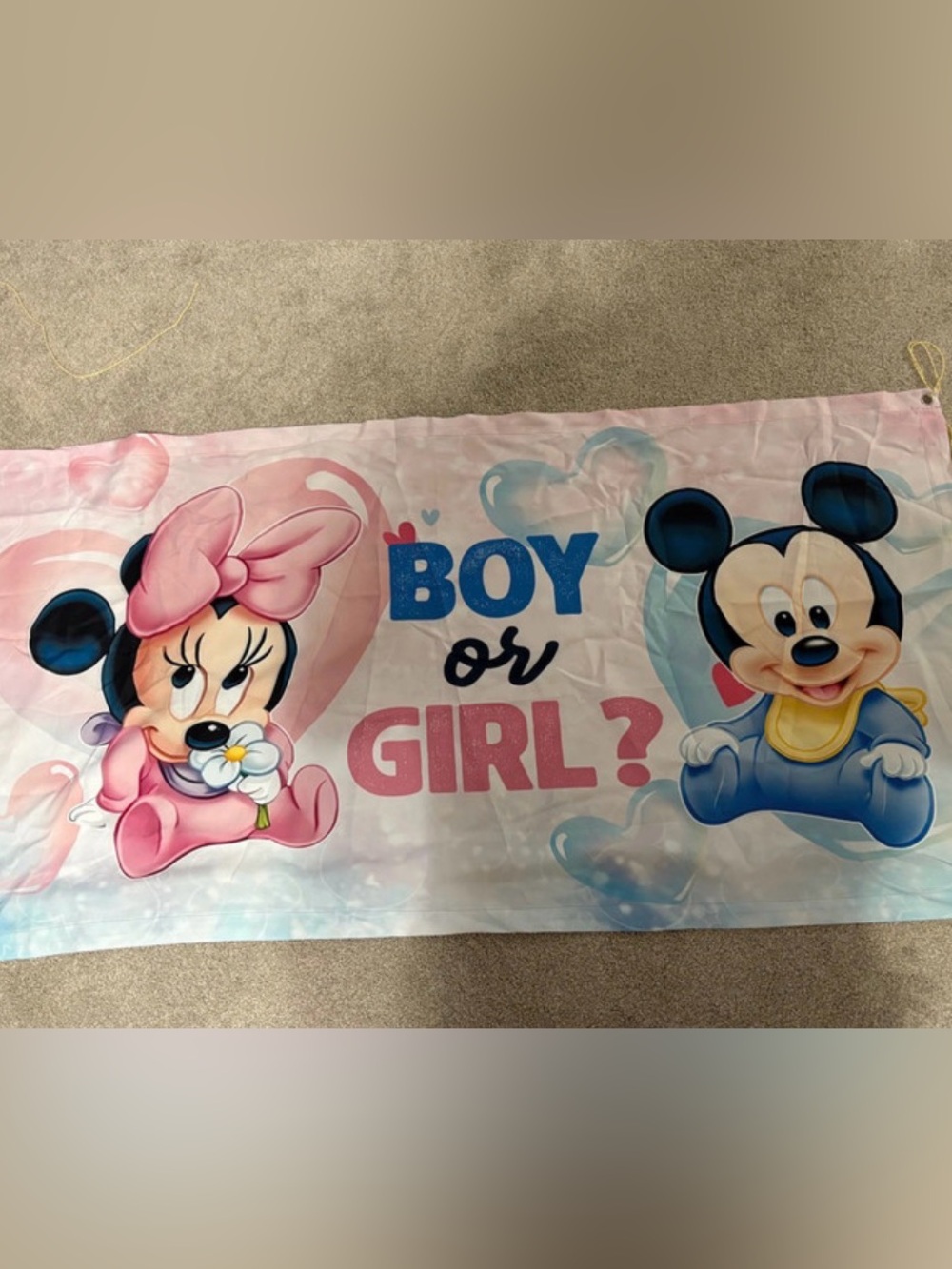 Gender Reveal Banner - Pink and Blue